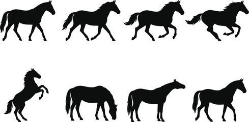 Fototapeta premium Horse Silhouette Collection Featuring Running Grazing Rearing and Standing Equine Vector Set