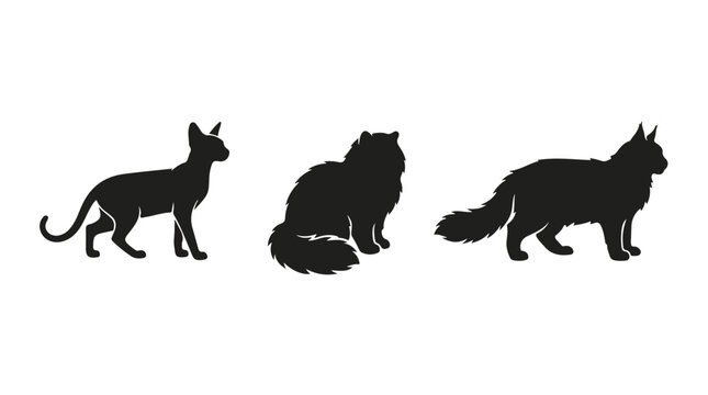 Black cat silhouettes set, three feline breed vector icons, minimalist domestic cat profile shapes for pet shop branding and veterinary logos