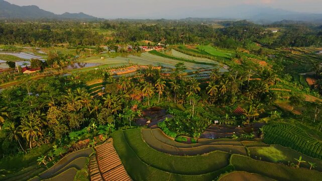 rice terraces in bali indonesia