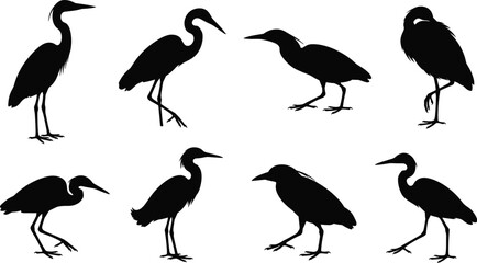 Obraz premium Wading Bird Silhouette Collection with Heron Egret and Waterbird Wildlife Vector Set