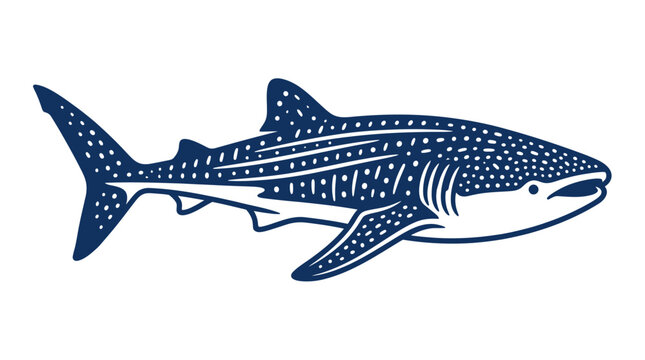 Whale Shark Illustration - Marine Life, Ocean Creature, Big Fish Vector Art