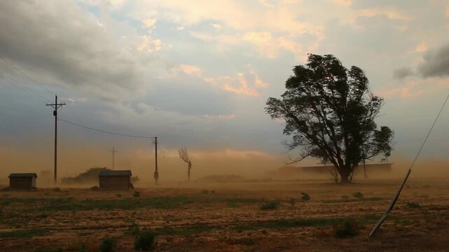 A dry wind blows dust through a desolate, drought stricken rural landscape.