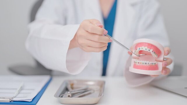 Dentist with Orthodontic tooth model and bracket or brace. Clean and Scrape off tartar. May Orthodontic Health Day, March Oral health, Dentist Day, False Teeth. Toothache and Children Dental Health