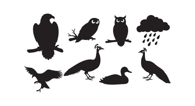 Silhouettes of birds like eagles owls peacocks ducks and a rain cloud on white background vector illustration.