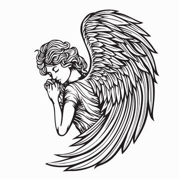 Winged Seraphim Angel Vector Illustration On White Background