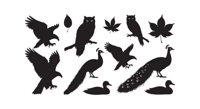 Various bird silhouettes featuring eagles owls peacocks and ducks plus some leaves.