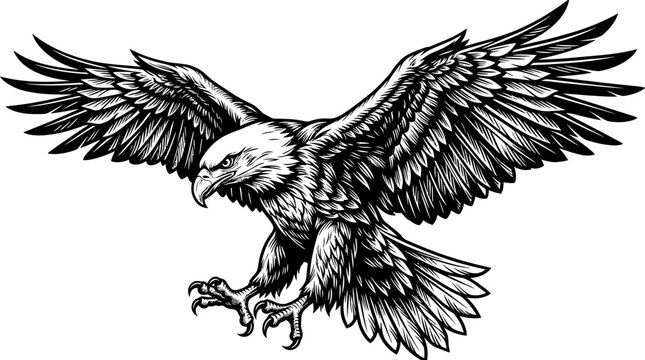 Detailed black and white sketch of a bald eagle in mid-flight with outstretched wings and sharp talons visible.