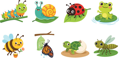 Cute cartoon garden insects and pond creatures collection featuring caterpillar snail ladybug frog bee butterfly chrysalis turtle hatching and dragonfly © MstLata