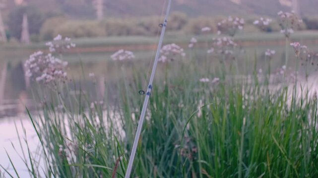 landscape from Moldova