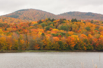 Obraz premium Fall foliage on a cloudy day in Harriman Reservoir, near Wilmington, Vermont