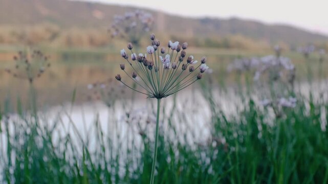 landscape from Moldova