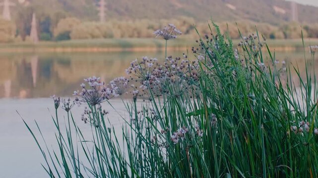 landscape from Moldova