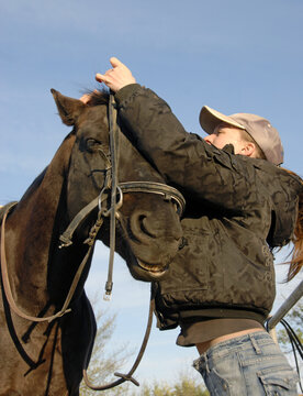 riding girl and horse