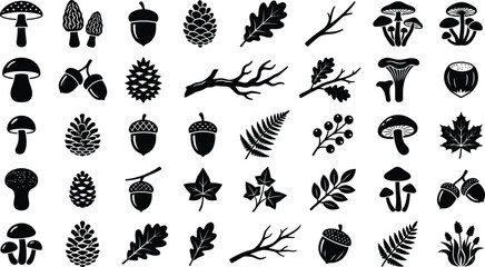 Black and white forest set, featuring leaves, acorns, mushrooms, and pinecones woodland © GT Designs
