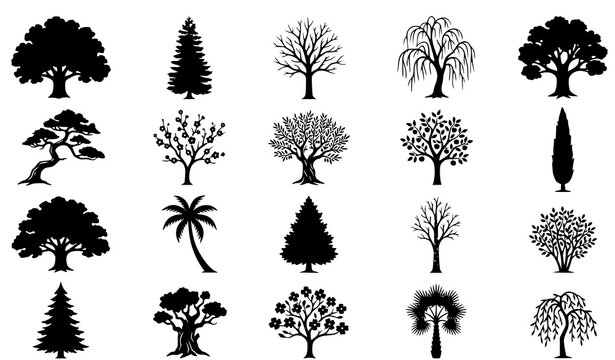Tree silhouette icon set featuring various forest, oak, pine, palm, and baobab plant shapes
