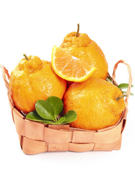 Fresh Ugli Fruit Tangerines in Wicker Basket Still Life Studio Photography