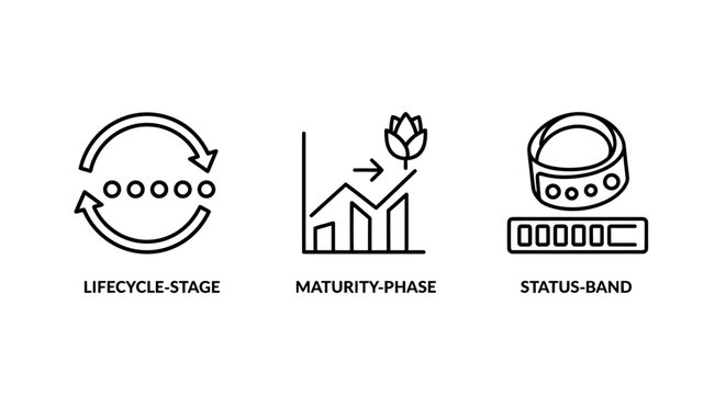 Lifecycle stages and growth maturity icons with lifecycle maturity development evolution progress continuous analysis business improvement strategy planning iteration workflow performance
