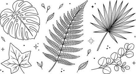 Tropical leaves icon set with monstera fern leaf palm frond ivy and eucalyptus branch line art vector outlines © vector design 