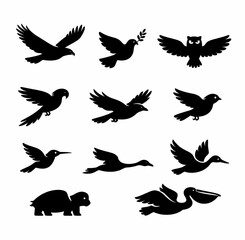 Obraz premium silhouettes of birds