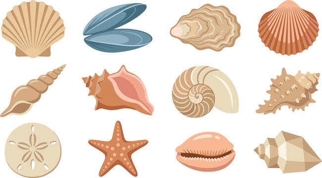 Sea Shell and Marine Life Icon Set Featuring Scallop Clam Nautilus Starfish and Sand Dollar Vectors for Summer Beach Graphic Designs