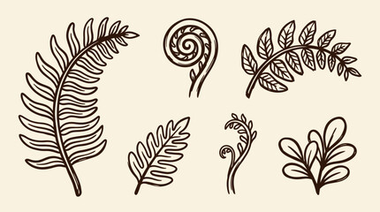 Hand drawn set in vintage outline illustration style of various fern leaves and fiddlehead on beige © Crushin