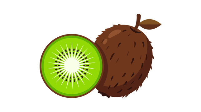 Kiwi fruit, green kiwi cut in half, whole brown kiwi, vector illustration