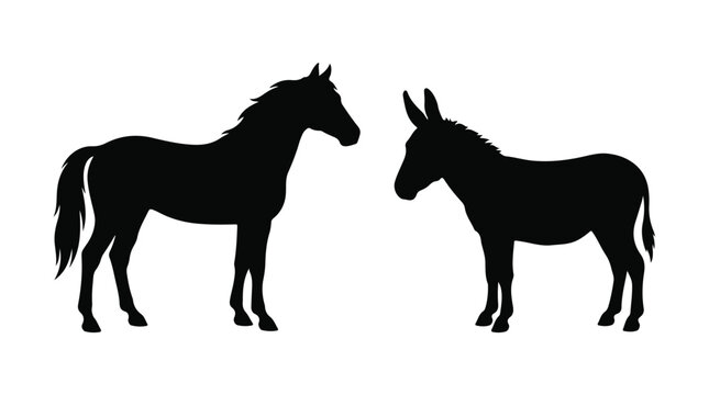 Horse and donkey silhouettes, black farm animal vector set, standing equine and burro profile icons isolated on white background
