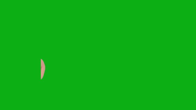 Hand thumb gesture green screen chromakey background 2d animated cartoon animation approval sign communication direction symbol concept icon loops smoothly on chroma key