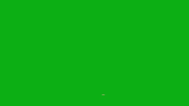 Hand finger point green screen chromakey background 2d animated cartoon animation direction sign communication gesture symbol concept icon loops smoothly on chroma key