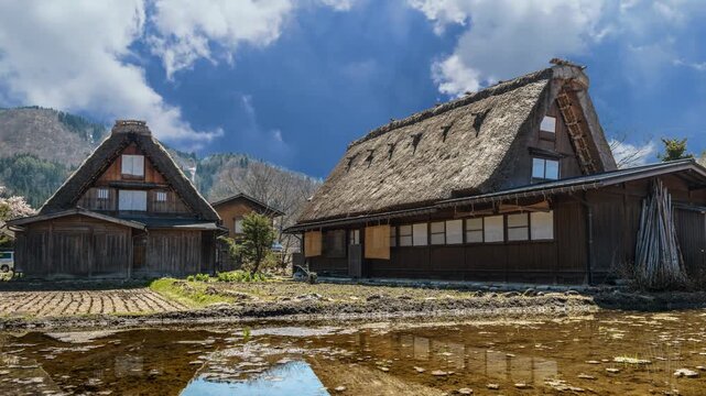 Stunning arial view of traditional Japanese village of Shirakawa go in summer, UNESCO World Heritage Site. The rural heritage buildings stand beside reflective water puddles and fields
