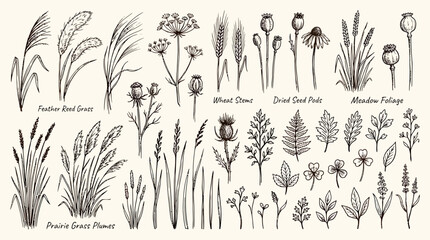 A sketch vector set of various wildflowers and grasses in a natural landscape setting with diverse foliage and plants. © Crushin
