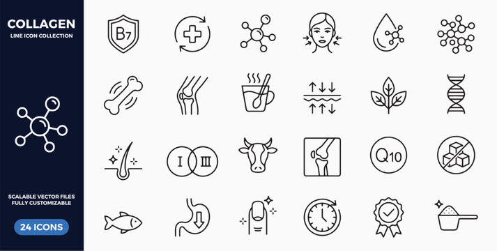 Collagen line icon molecule, skin, joint, bone, vitamin B7, fish, hair follicle and supplement. Complete set of beauty, nutrition and wellness icons for skincare, dietary supplement and health product