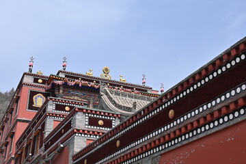 Obraz premium Golden-roofed temples of Kumbum Monastery glow under the sun, where intricate Tibetan carvings meet swirling incense in this sacred Qinghai sanctuary.