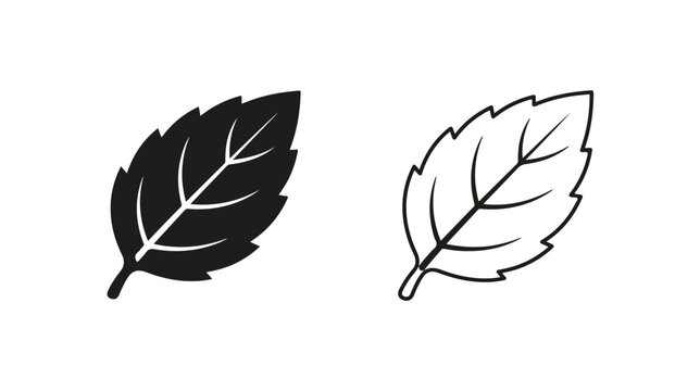 Minimalist mint leaf vector icons, black silhouette and line art peppermint foliage, fresh herbal tea ingredients for organic product branding