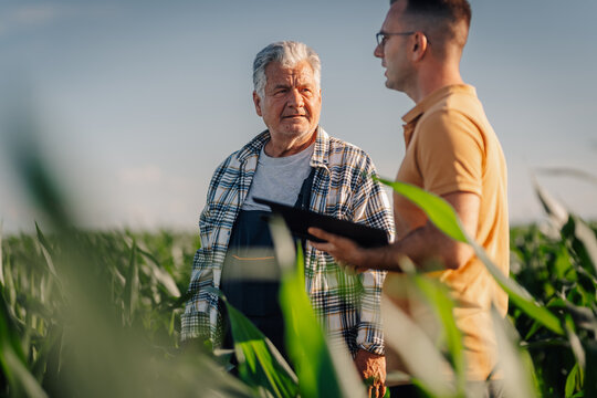 Agronomist discussing agriculture with senior farmer in cornfield