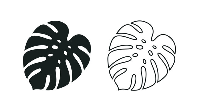Monstera deliciosa leaf vector icons, tropical plant foliage silhouette and outline set, black exotic swiss cheese plant leaves for logo design