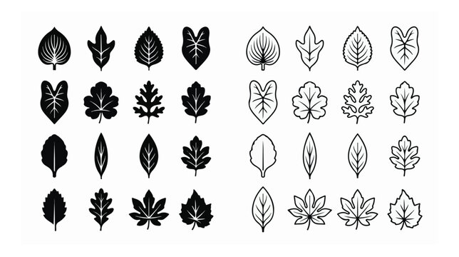 Minimalist leaf icon set, black silhouette and outline foliage vector elements, 32 botanical leaf shapes for organic branding and nature logos
