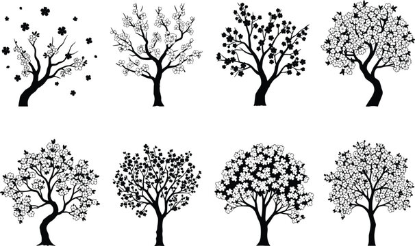 Set of blooming cherry blossom tree silhouettes collection black and white sakura floral vectors isolated on white background for graphic design