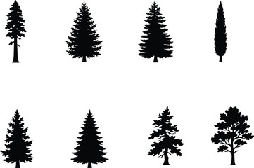 Fototapeta premium Evergreen Conifer Tree Silhouette Vector Collection Featuring Pine Fir Spruce and Cypress Trees for Landscape Design Projects
