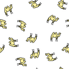 Fototapeta premium camel animal in zoo vector seamless pattern camel animal in zoo sign illustration