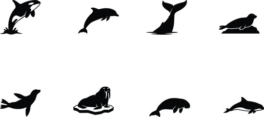 Marine Mammal Silhouette Vector Collection Featuring Dolphin Orca Whale Seal Walrus and Dugong Wildlife Icons for Ocean Designs © MdShahin