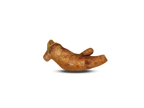 Curcuma amada or mango ginger root isolated on a white background