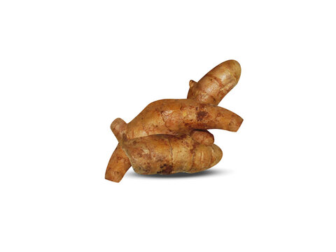 Curcuma amada or mango ginger root isolated on a white background