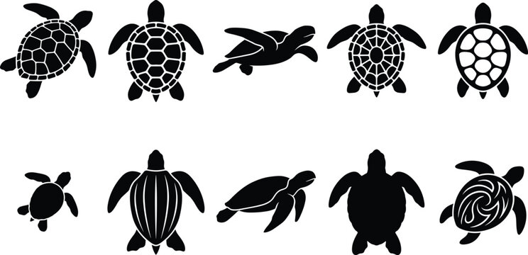 sea turtle black silhouettes graphic vector icons set featuring marine tortoises swimming crawling and decorative shell patterns isolated on white backdrop
