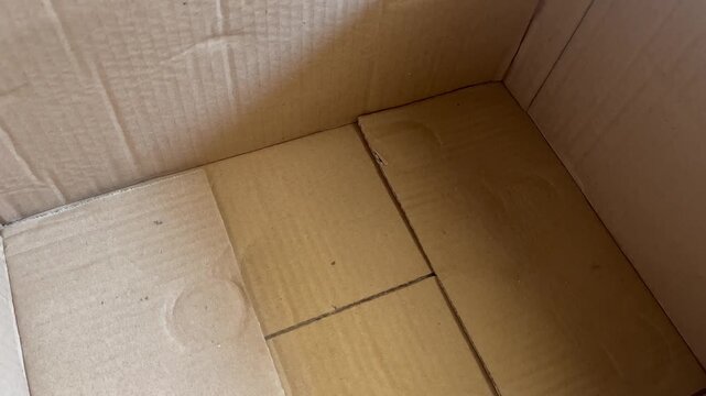 Corner view inside empty corrugated cardboard box package