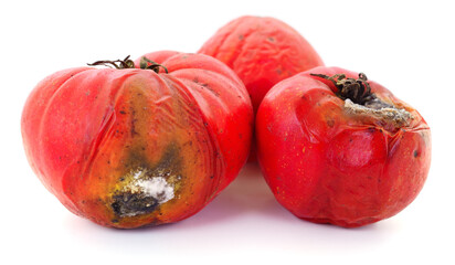 Rotten Tomatoes Isolated on White Background © olhastock
