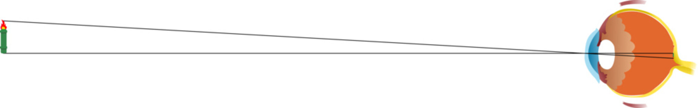 parallel light rays from a distant object focusing precisely on the retina.