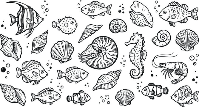Black and white sea creatures illustration with fish, shells and shrimp