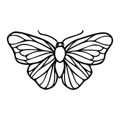 minimalist butterfly with detailed wings bold line art illustration © Zen20