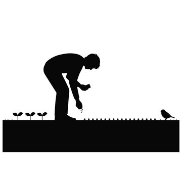 Hardworking famer working in feild
